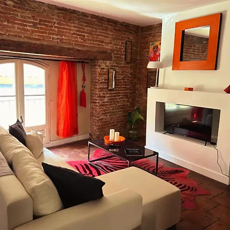 Hyper-centre - Pont Neuf - St Cyprien 圖盧茲