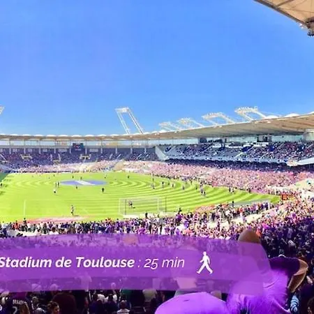 Apartment Hyper-centre - Pont Neuf - St Cyprien *