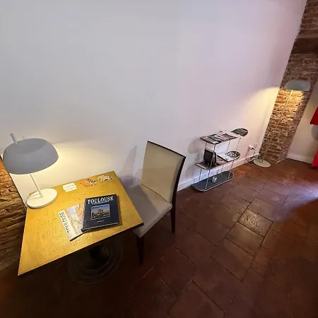 Hyper-centre - Pont Neuf - St Cyprien Apartment *