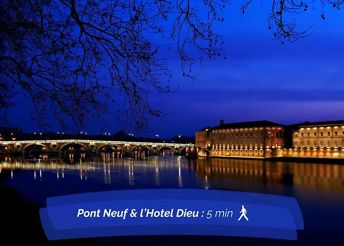 Hyper-centre - Pont Neuf - St Cyprien Toulouse