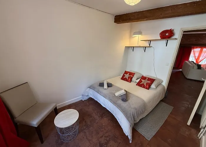 Hyper-centre - Pont Neuf - St Cyprien Lejlighed Toulouse