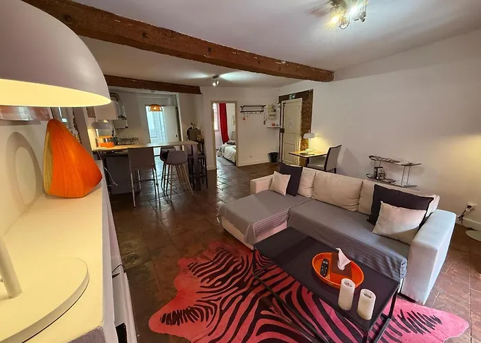 Hyper-centre - Pont Neuf - St Cyprien