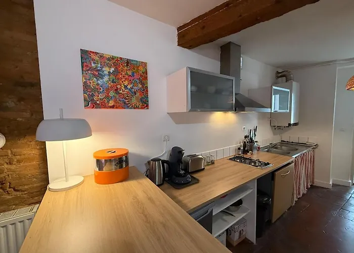 Lejlighed Hyper-centre - Pont Neuf - St Cyprien