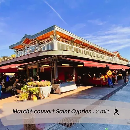 Daire Hyper-centre - Pont Neuf - St Cyprien *